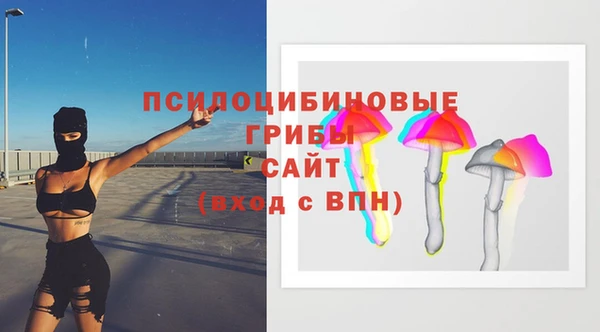 МДПВ Алексеевка