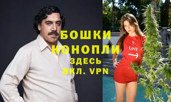 МДПВ Алексеевка