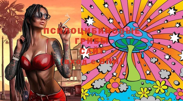 стафф Абаза